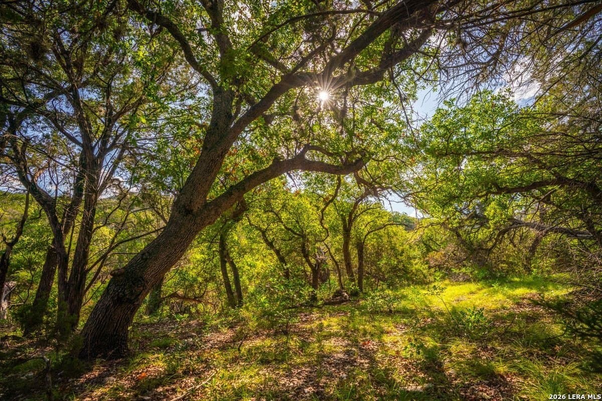 649 acres in Edwards County - photo 6