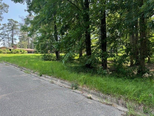 0.48 acres in Texas County - photo 2