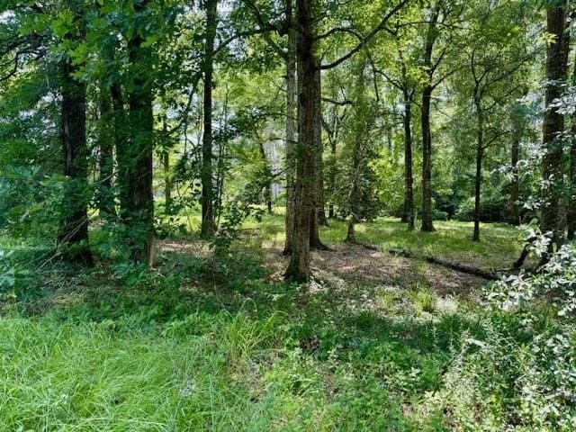 0.48 acres in Texas County
