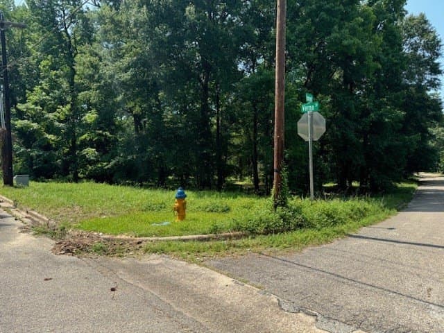 0.48 acres in Texas County - photo 4