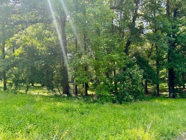0.48 acres in Texas County - photo 3