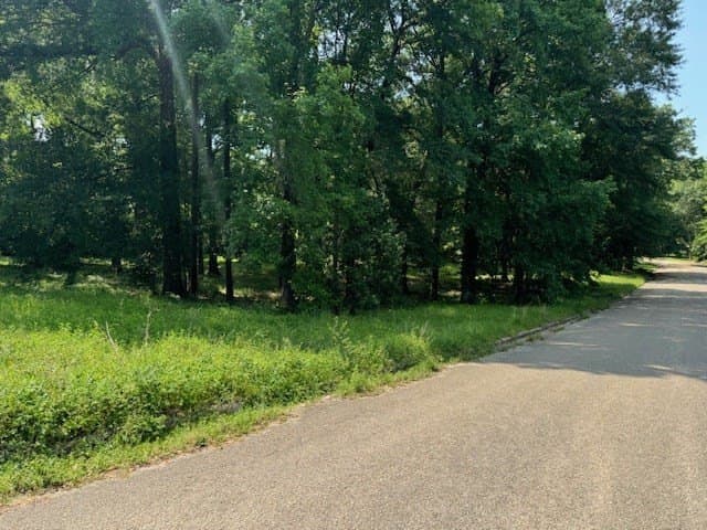 0.48 acres in Texas County - photo 5