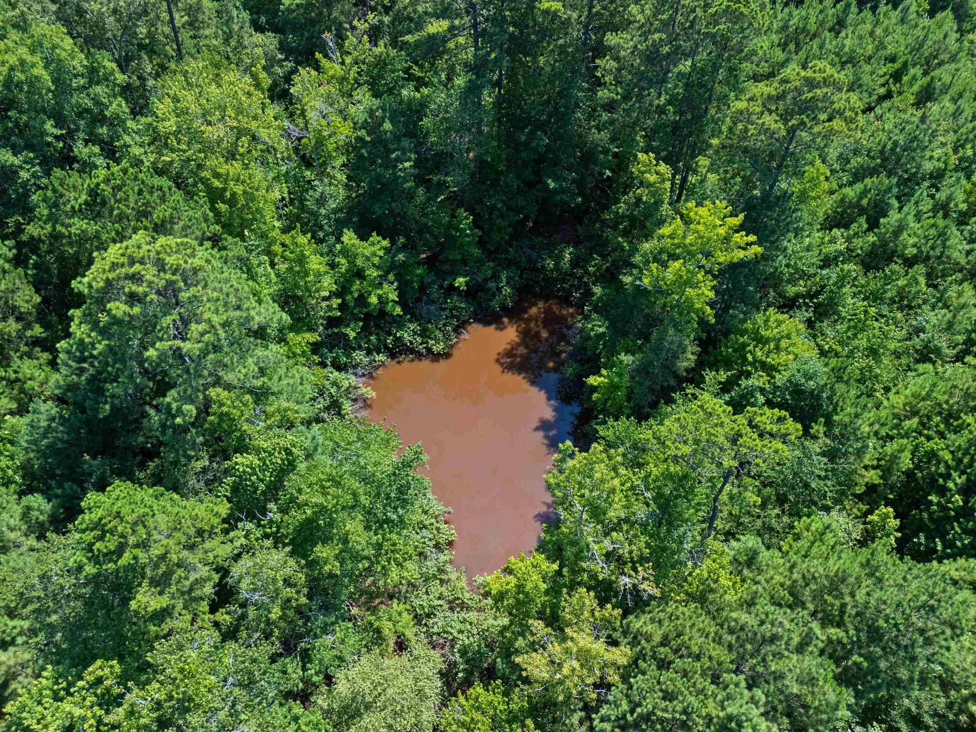 88.5 acres in Harrison County - photo 47