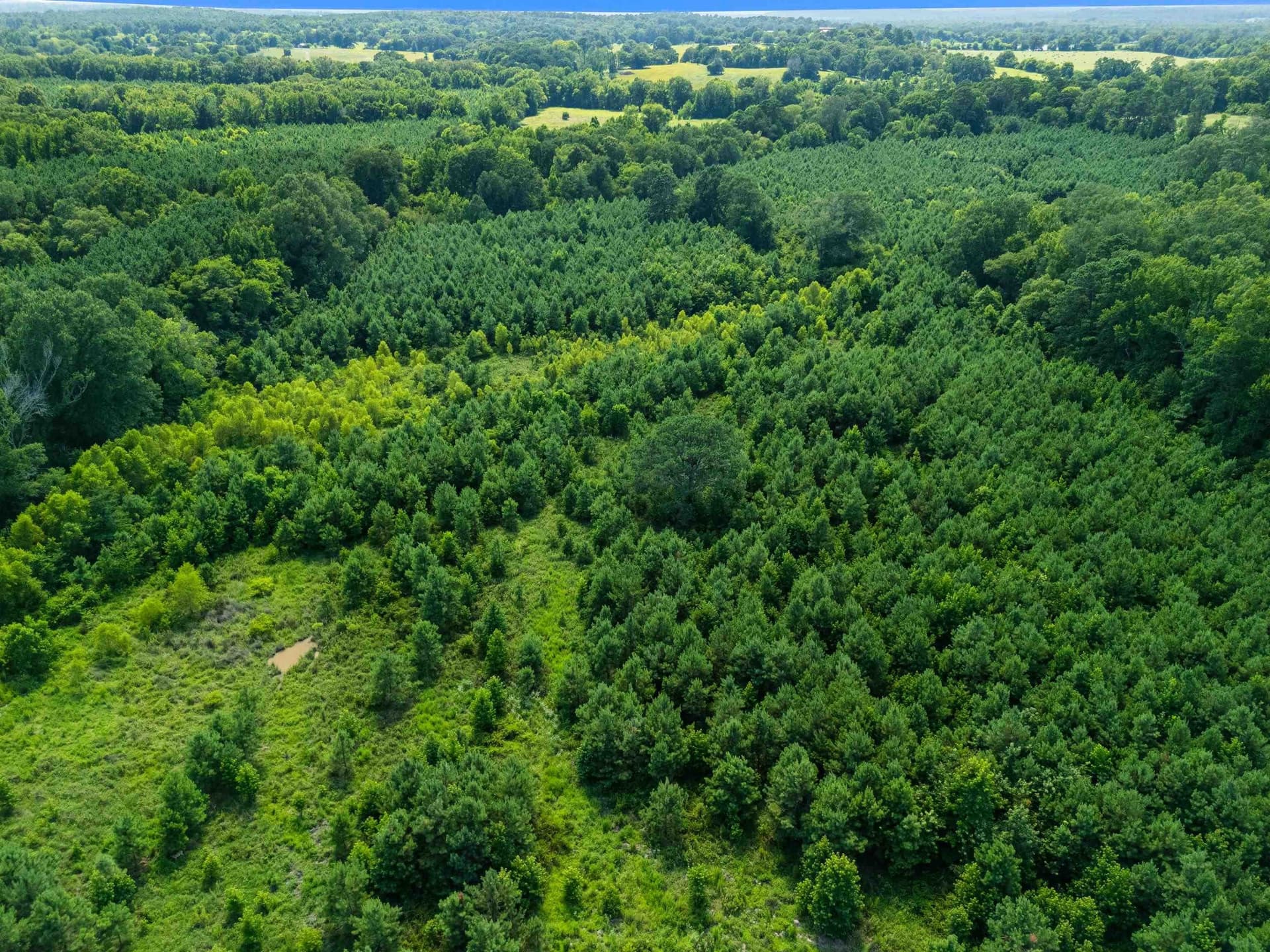 88.5 acres in Harrison County - photo 49