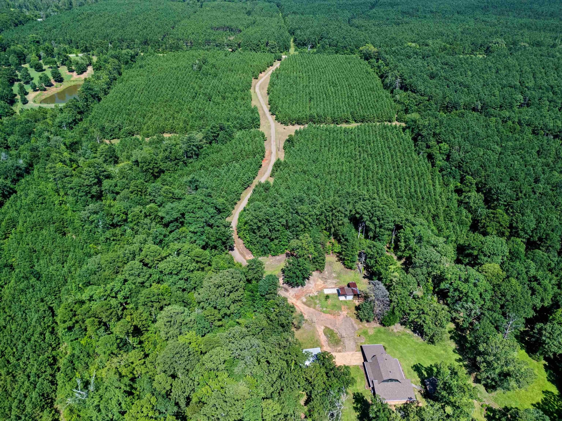 88.5 acres in Harrison County - photo 46