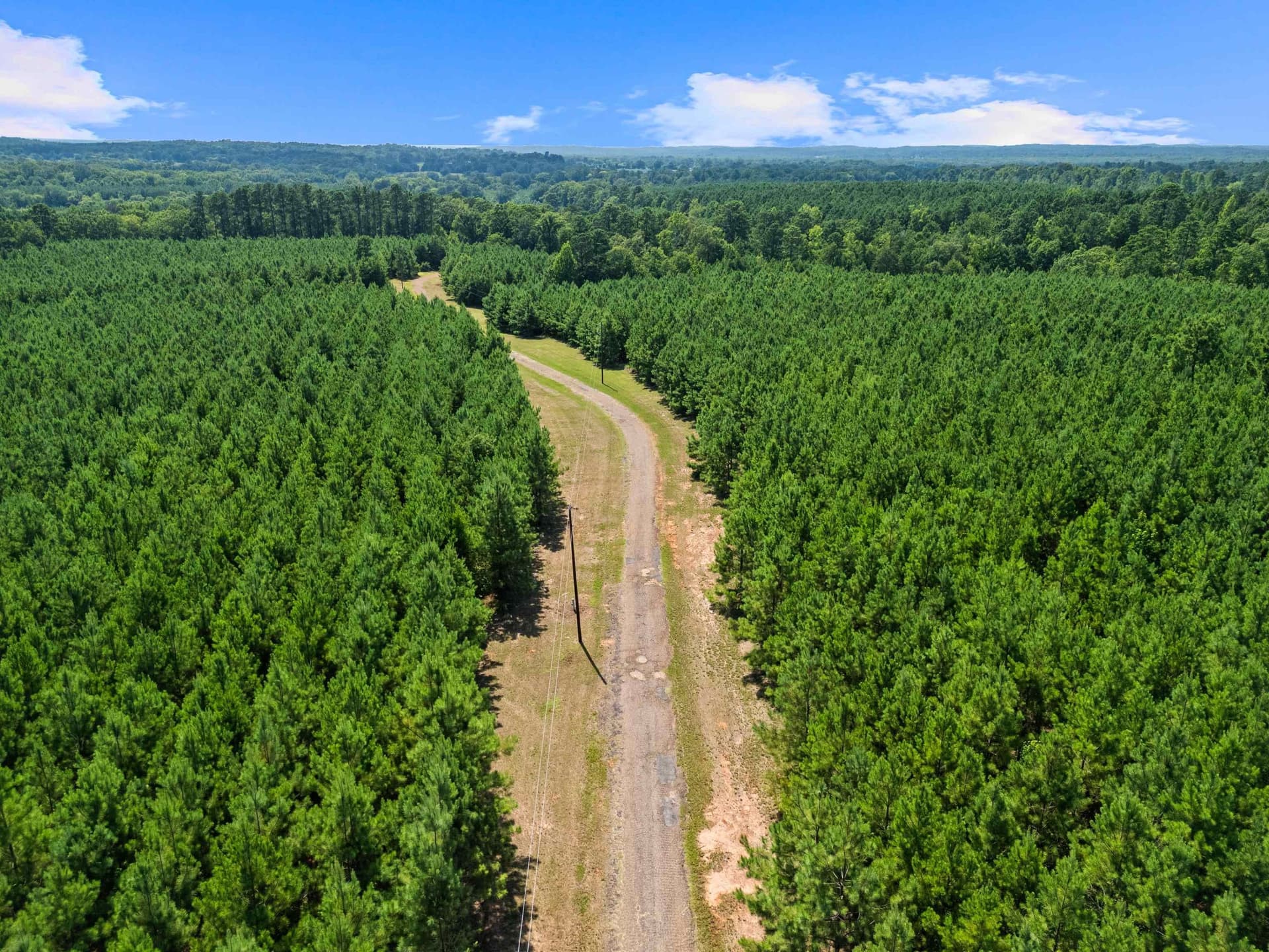 88.5 acres in Harrison County gallery image 4