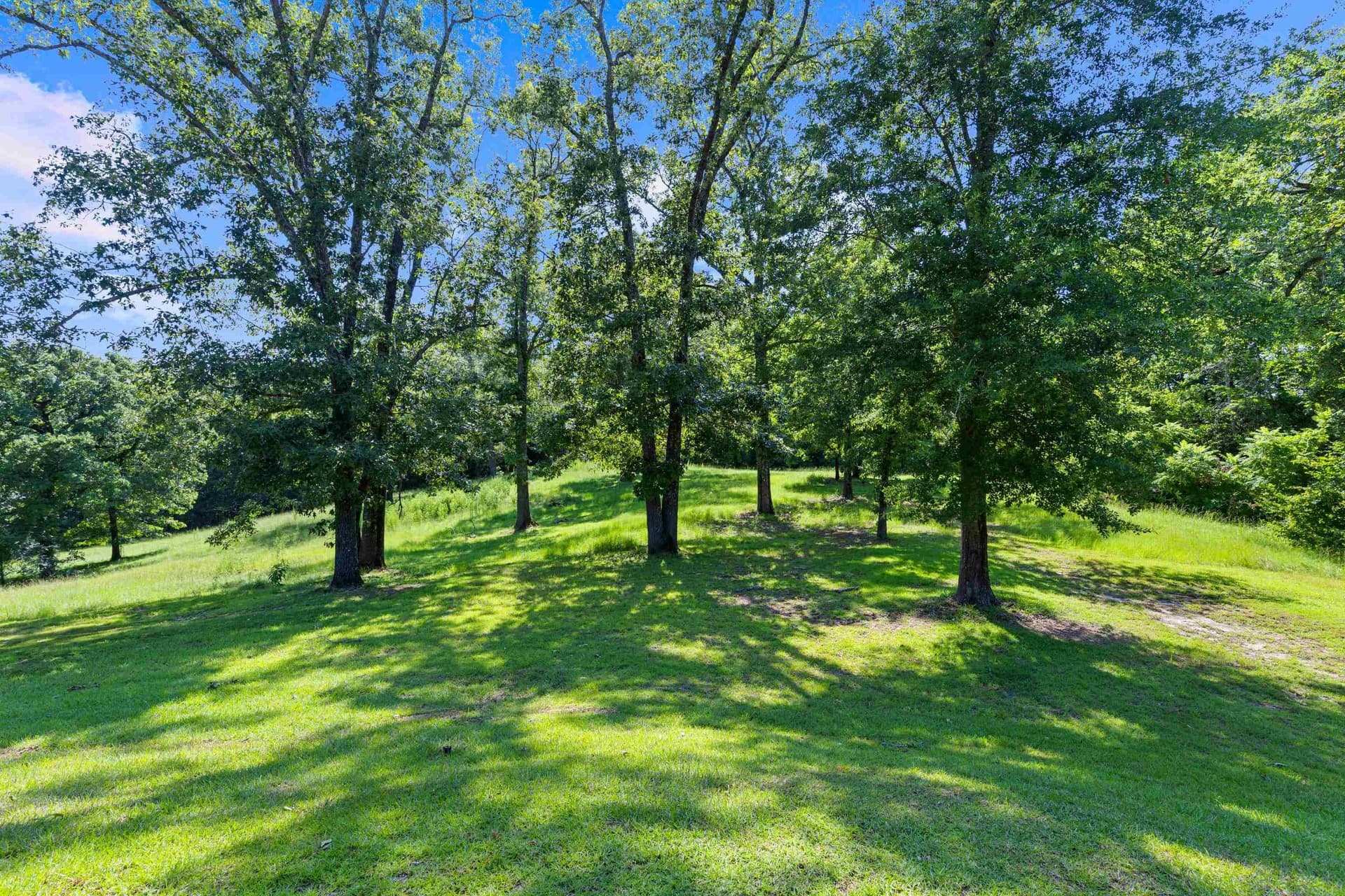 88.5 acres in Harrison County - photo 50