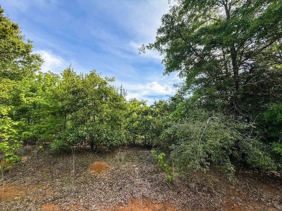 10 acres in Upshur County - photo 3