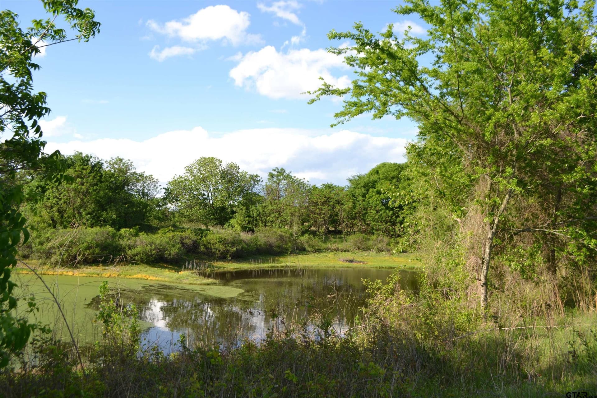 2.19 acres in Wood County gallery image 4