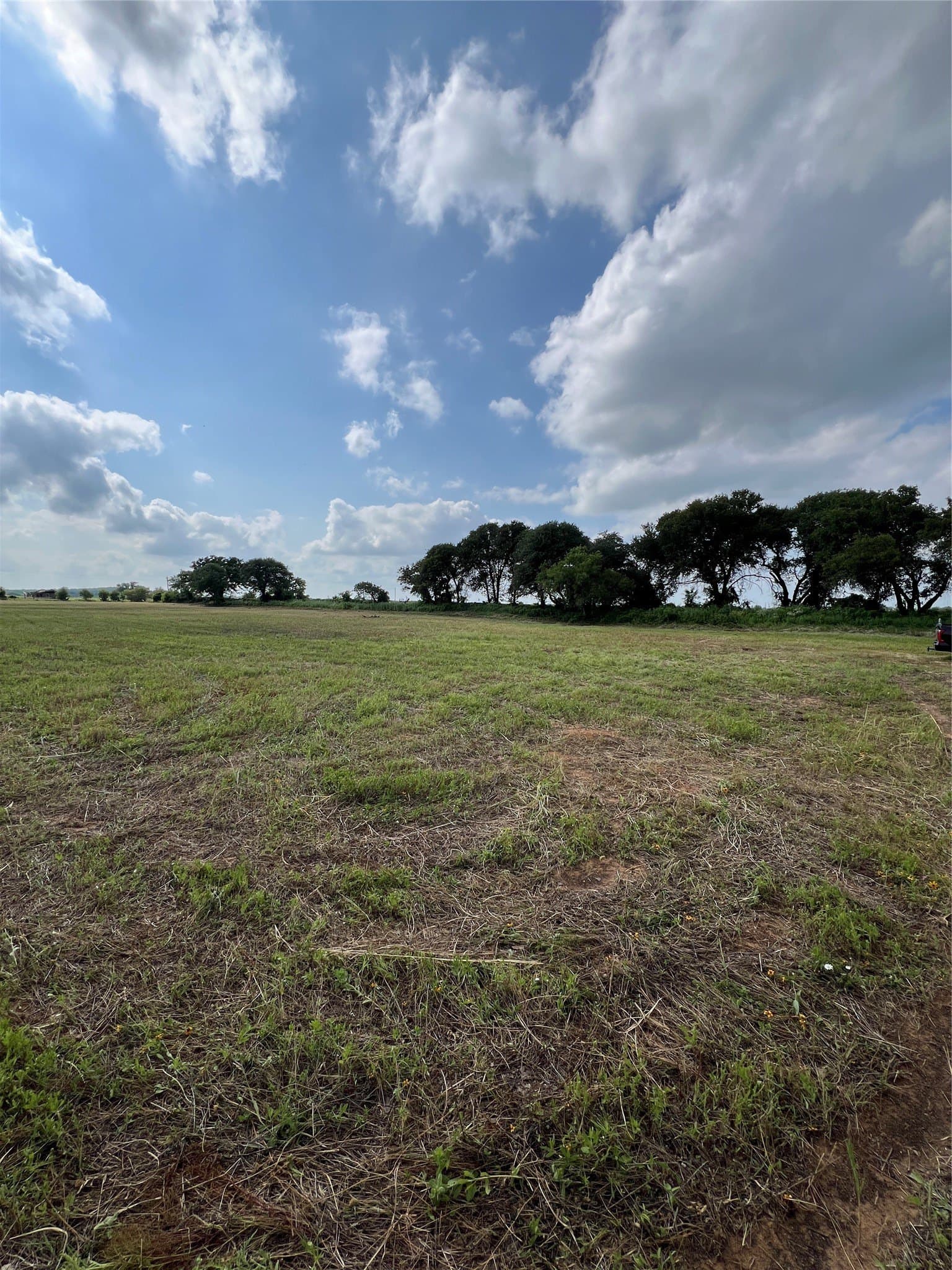 7.74 acres in Eastland County - photo 16