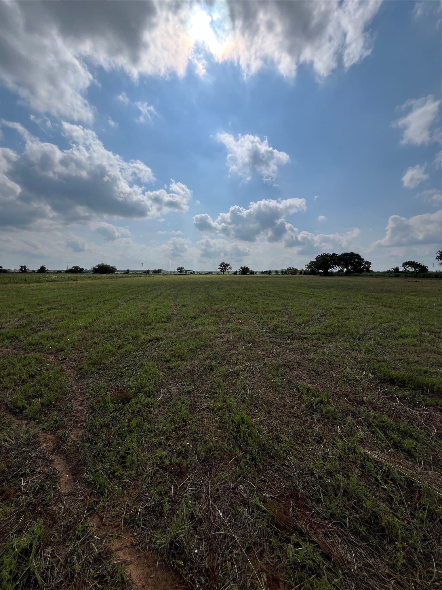 7.74 acres in Eastland County - photo 17
