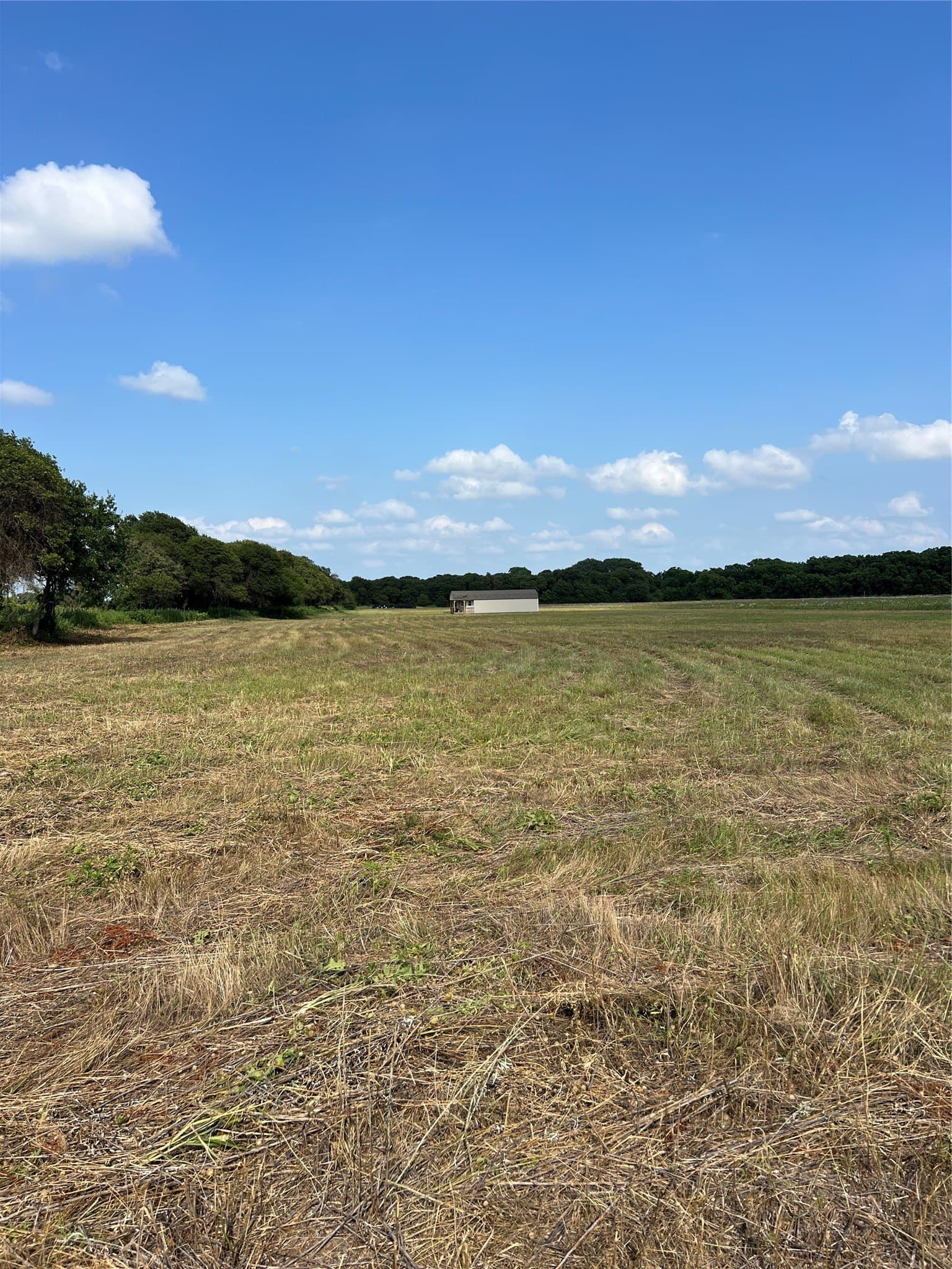 7.74 acres in Eastland County - photo 22