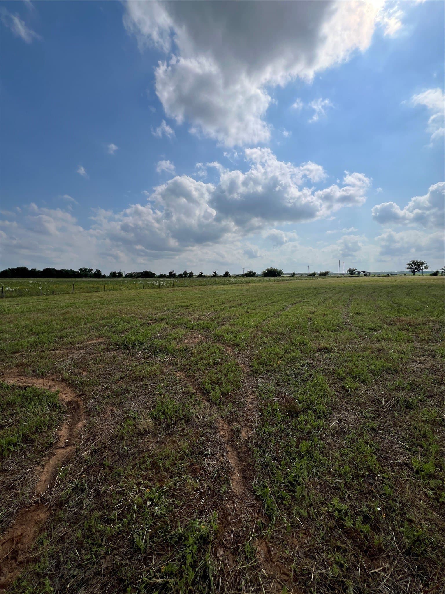 7.74 acres in Eastland County - photo 18