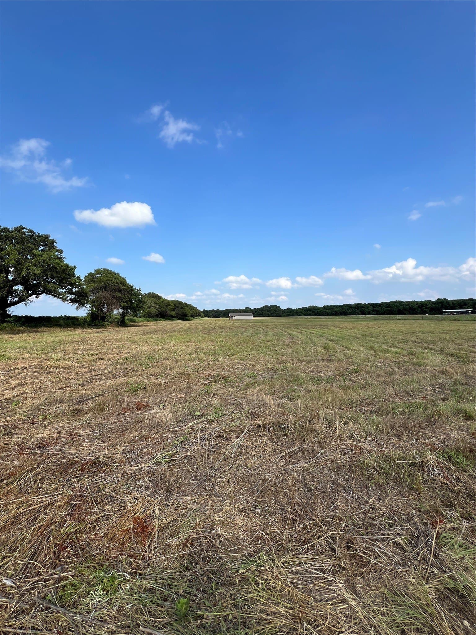 7.74 acres in Eastland County - photo 23
