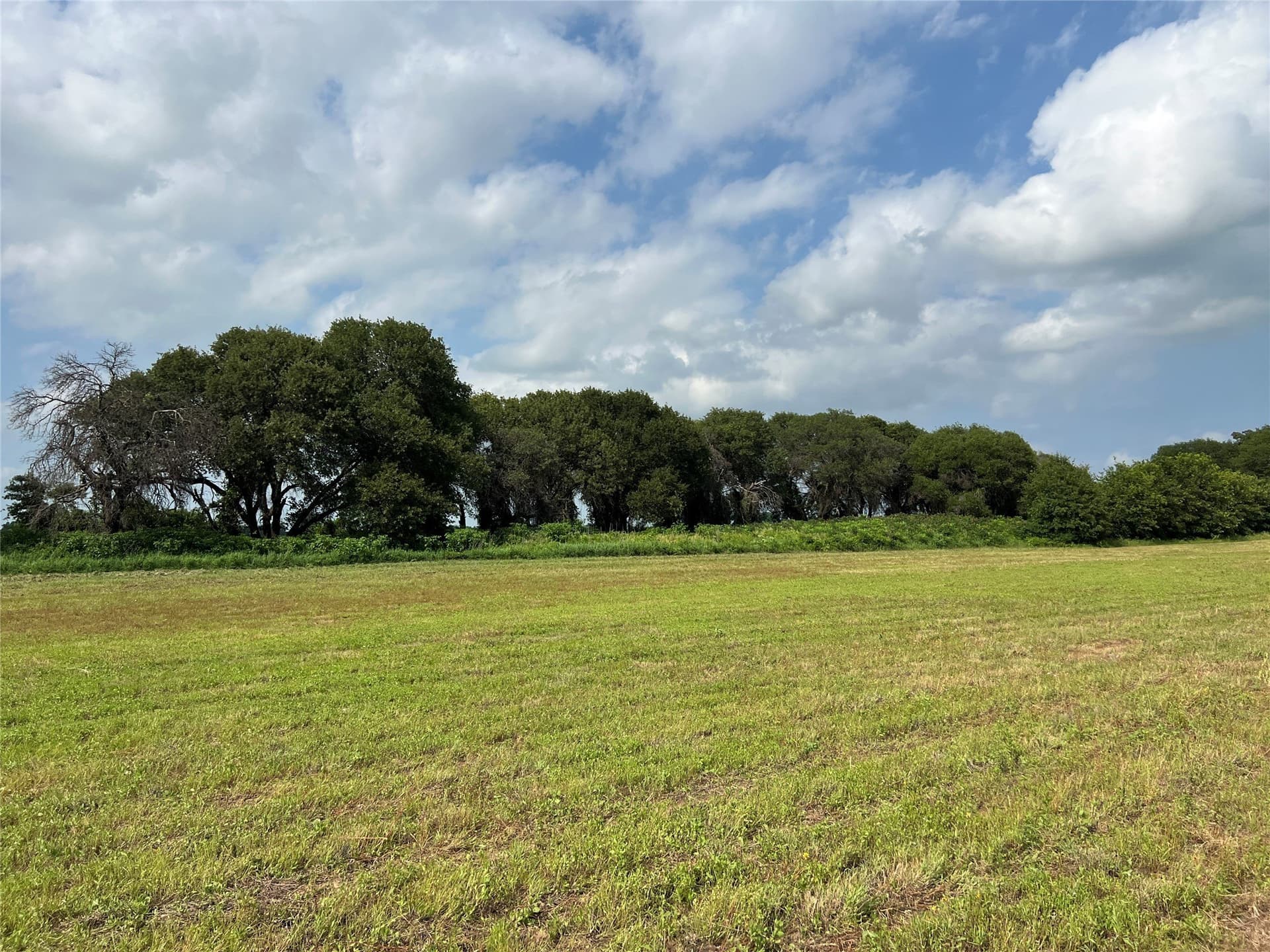 7.74 acres in Eastland County - photo 6