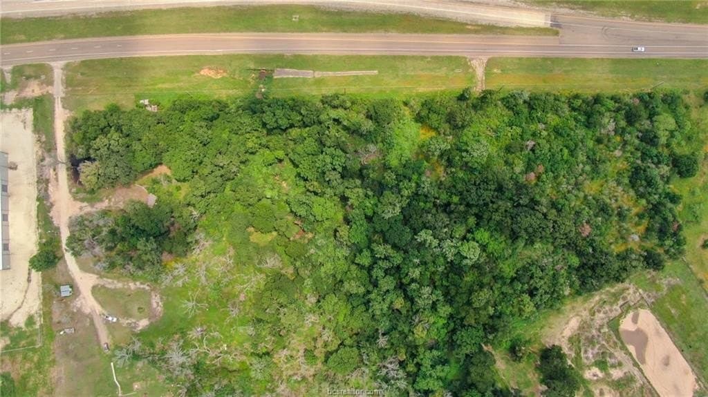 4.02 acres in Brazos County - photo 12