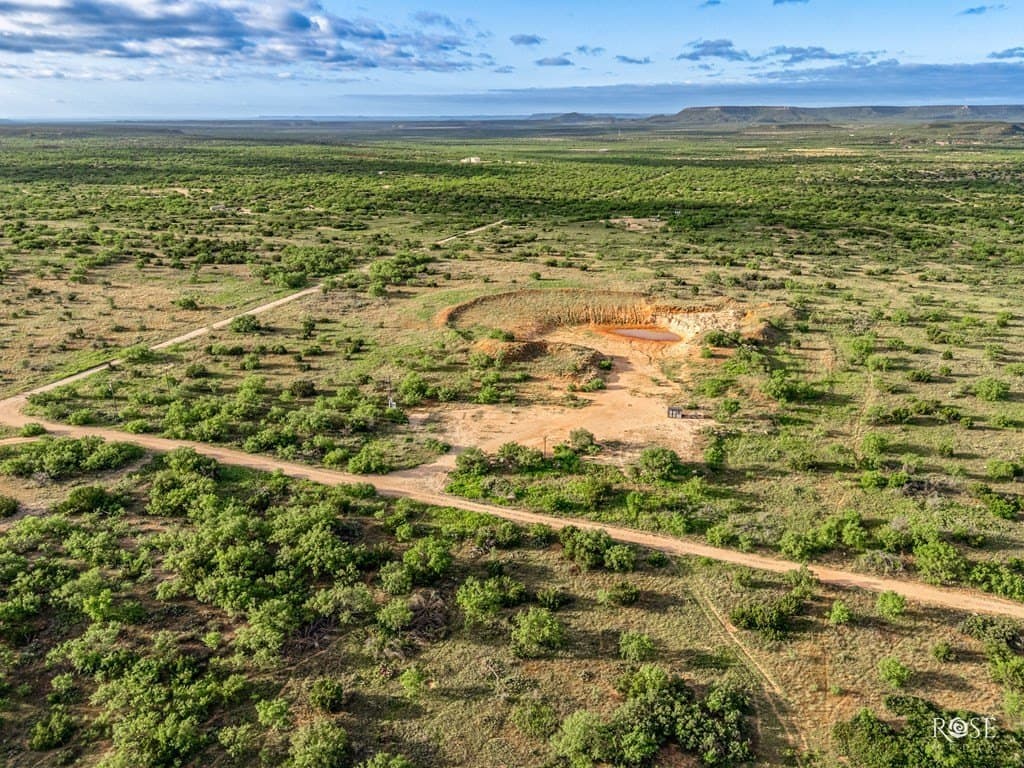 17.7 acres in Coke County gallery image 3