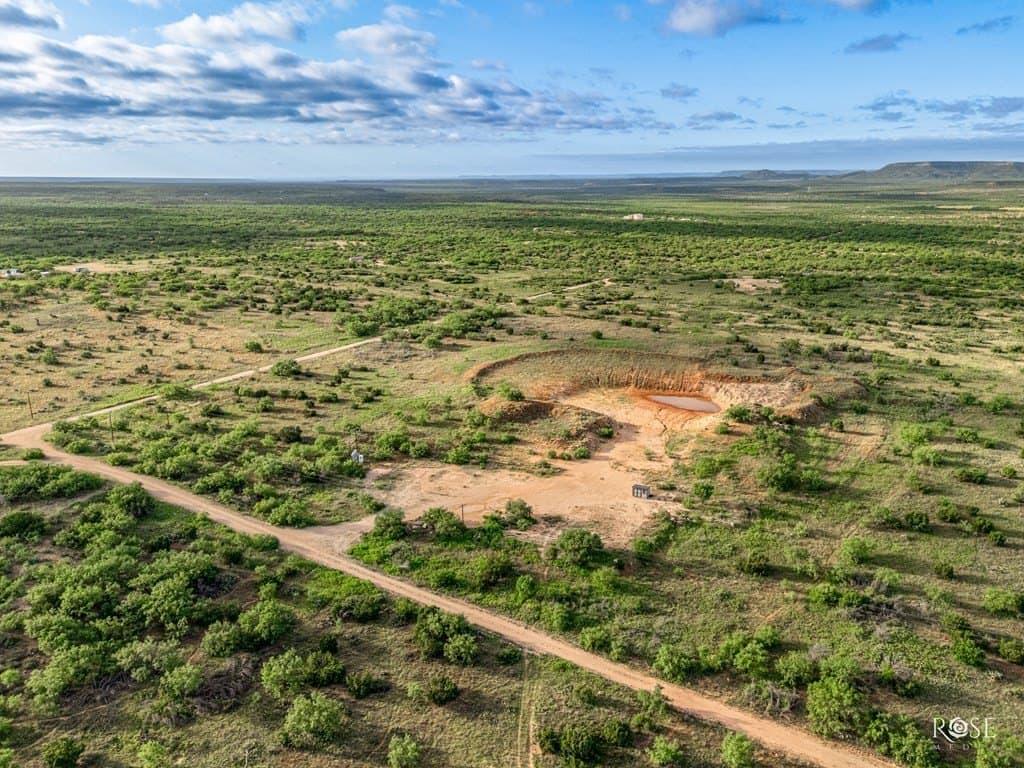 17.7 acres in Coke County gallery image 4