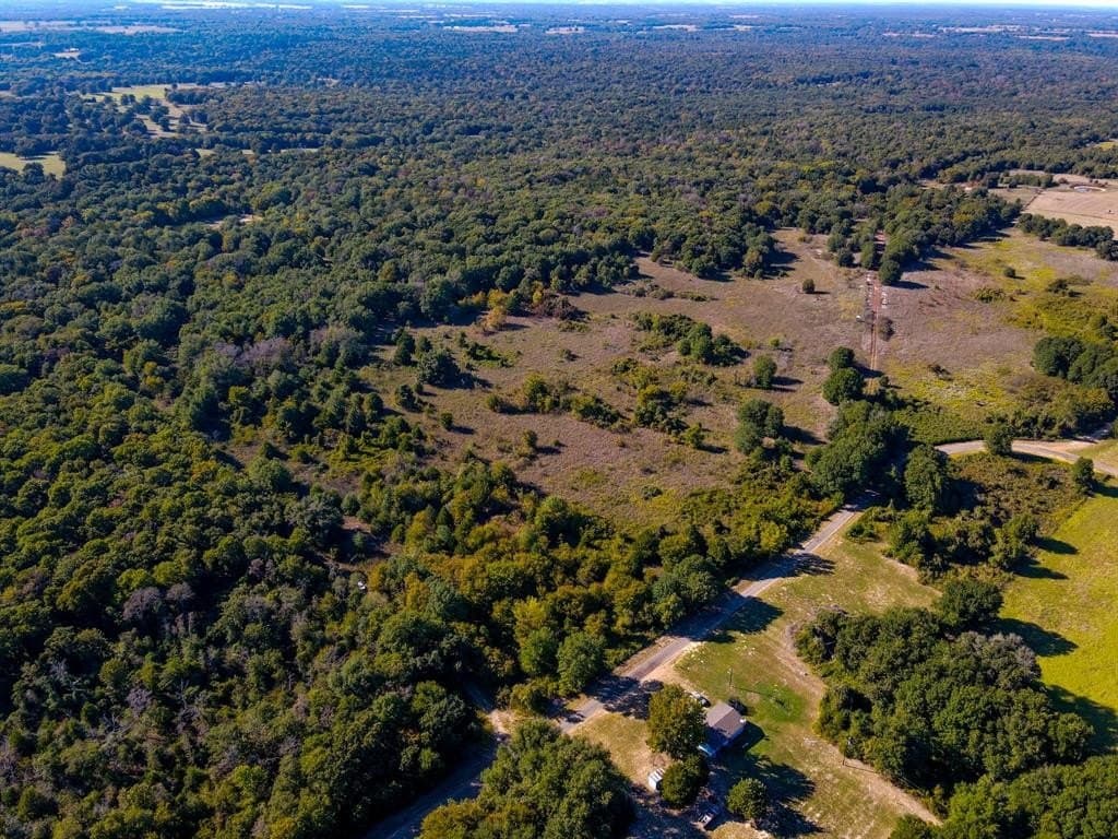 14 acres in Freestone County gallery image 2