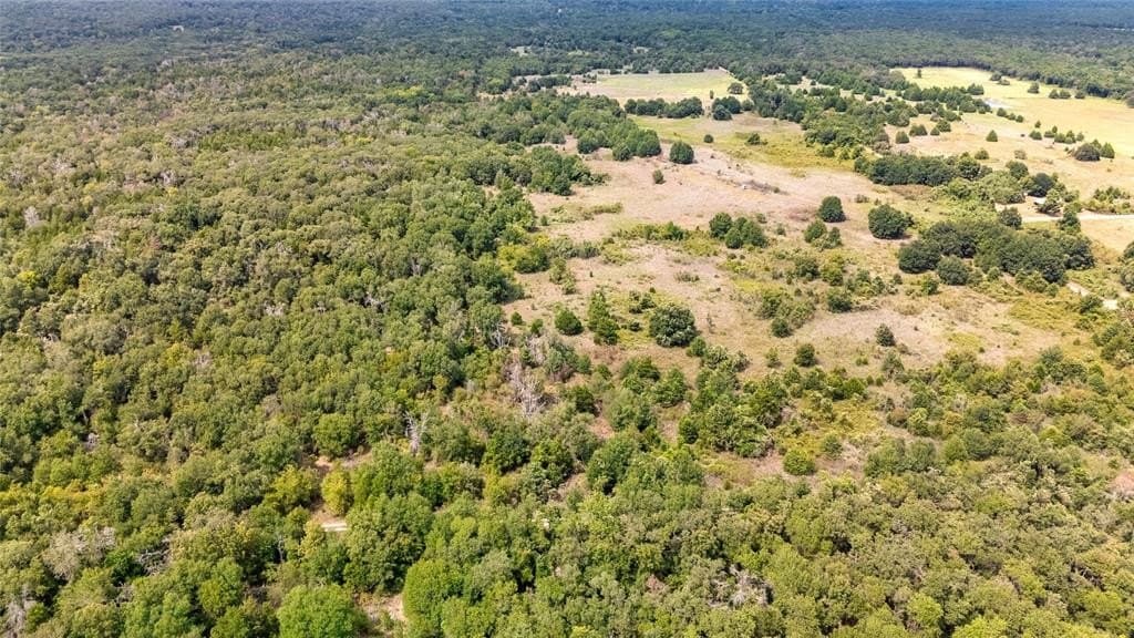 14 acres in Freestone County featured view