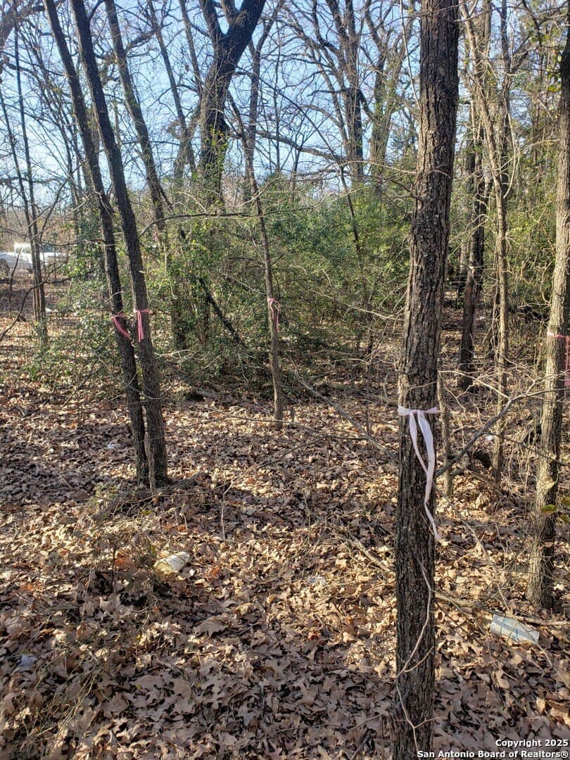 0.29 acres in Dallas County - photo 6