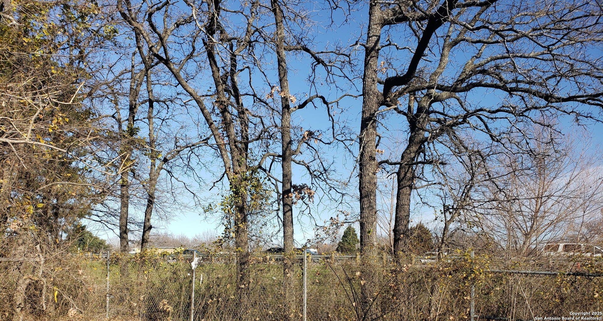 0.29 acres in Dallas County gallery image 4