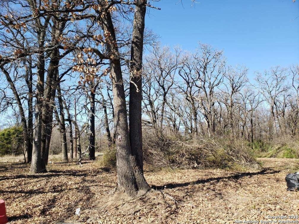 0.29 acres in Dallas County - photo 12