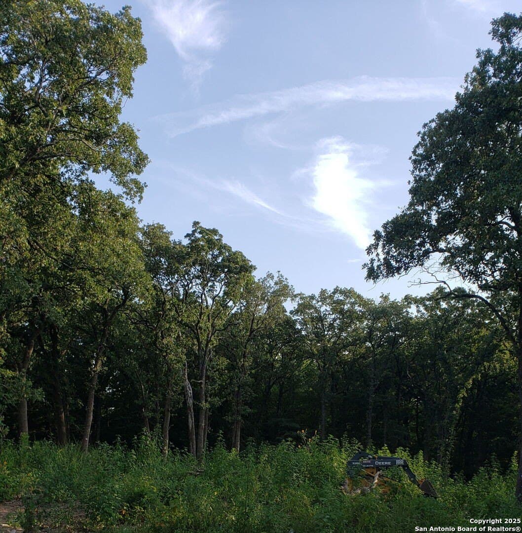 0.29 acres in Dallas County - photo 10