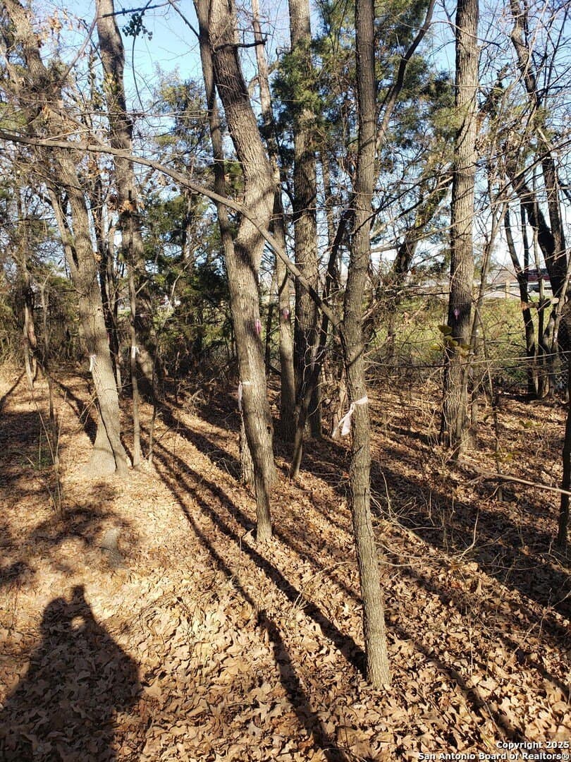 0.29 acres in Dallas County featured view