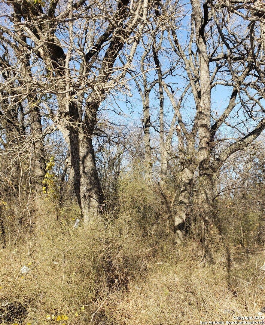 0.29 acres in Dallas County gallery image 3