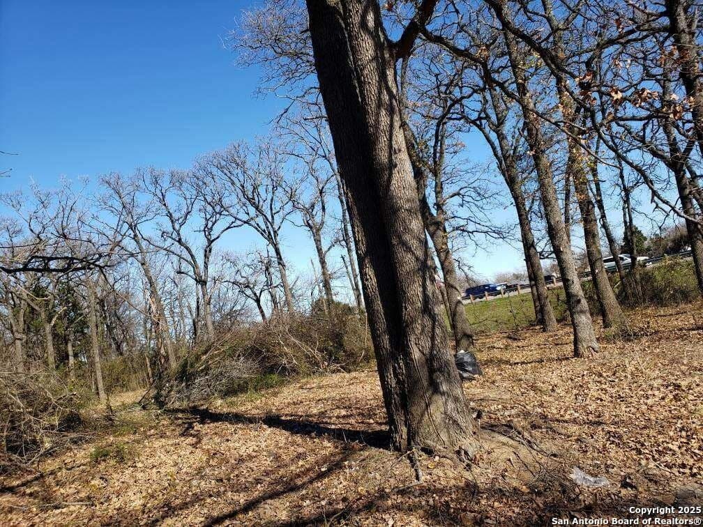 0.29 acres in Dallas County - photo 9