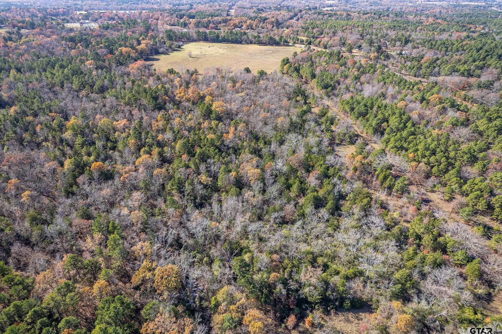 64.47 acres in Smith County - photo 10
