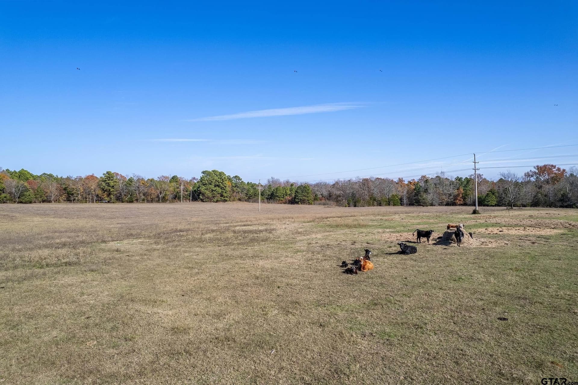 64.47 acres in Smith County - photo 19