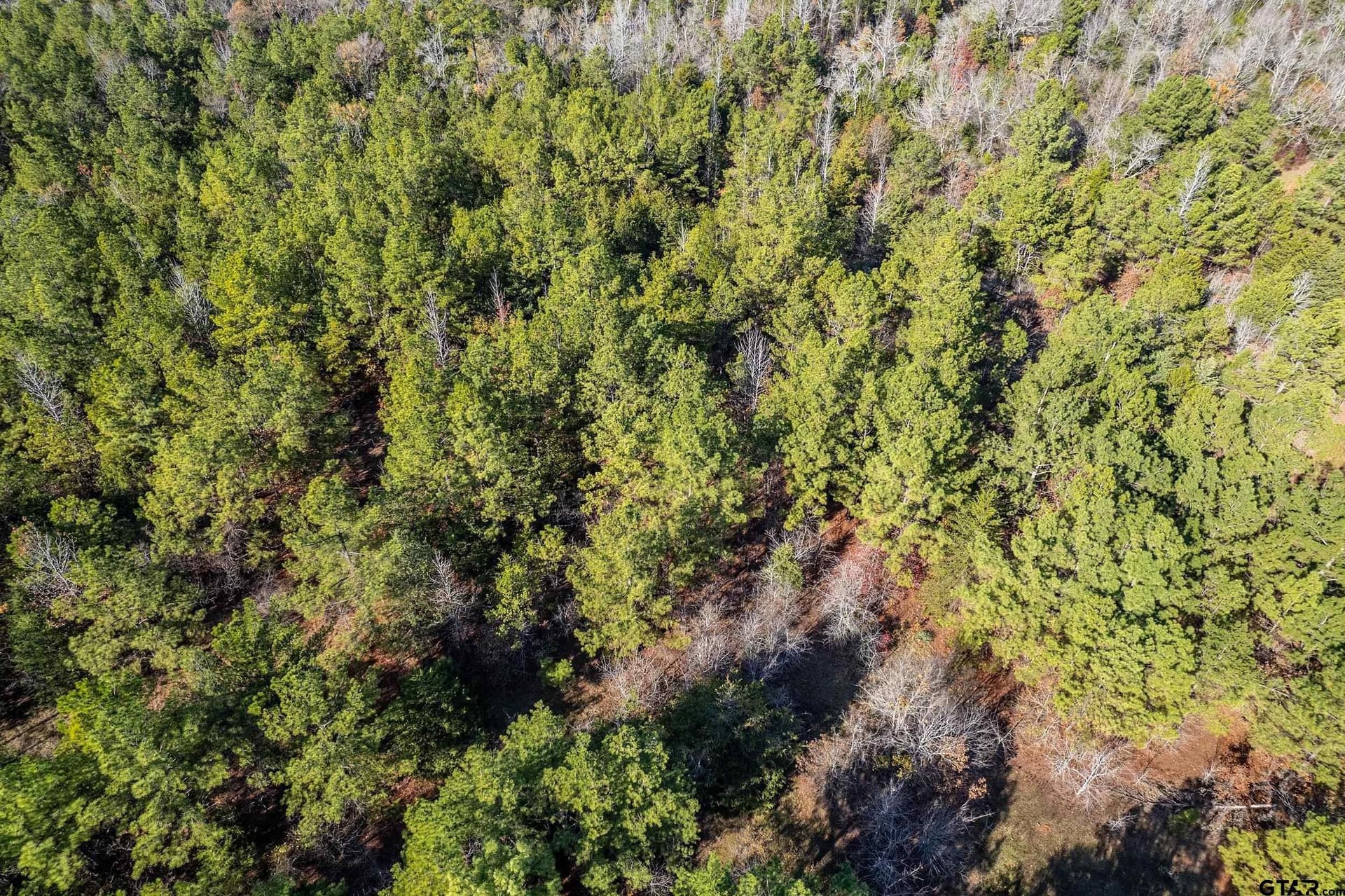 64.47 acres in Smith County - photo 12