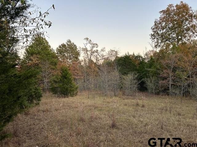 64.47 acres in Smith County - photo 20