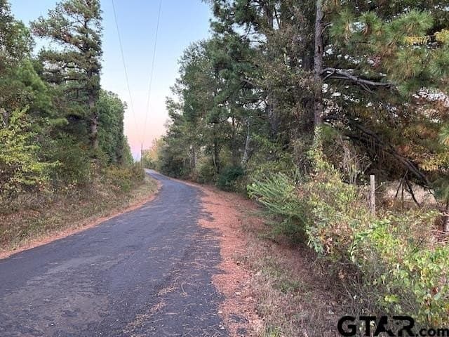64.47 acres in Smith County - photo 21