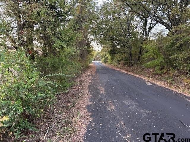 64.47 acres in Smith County - photo 22