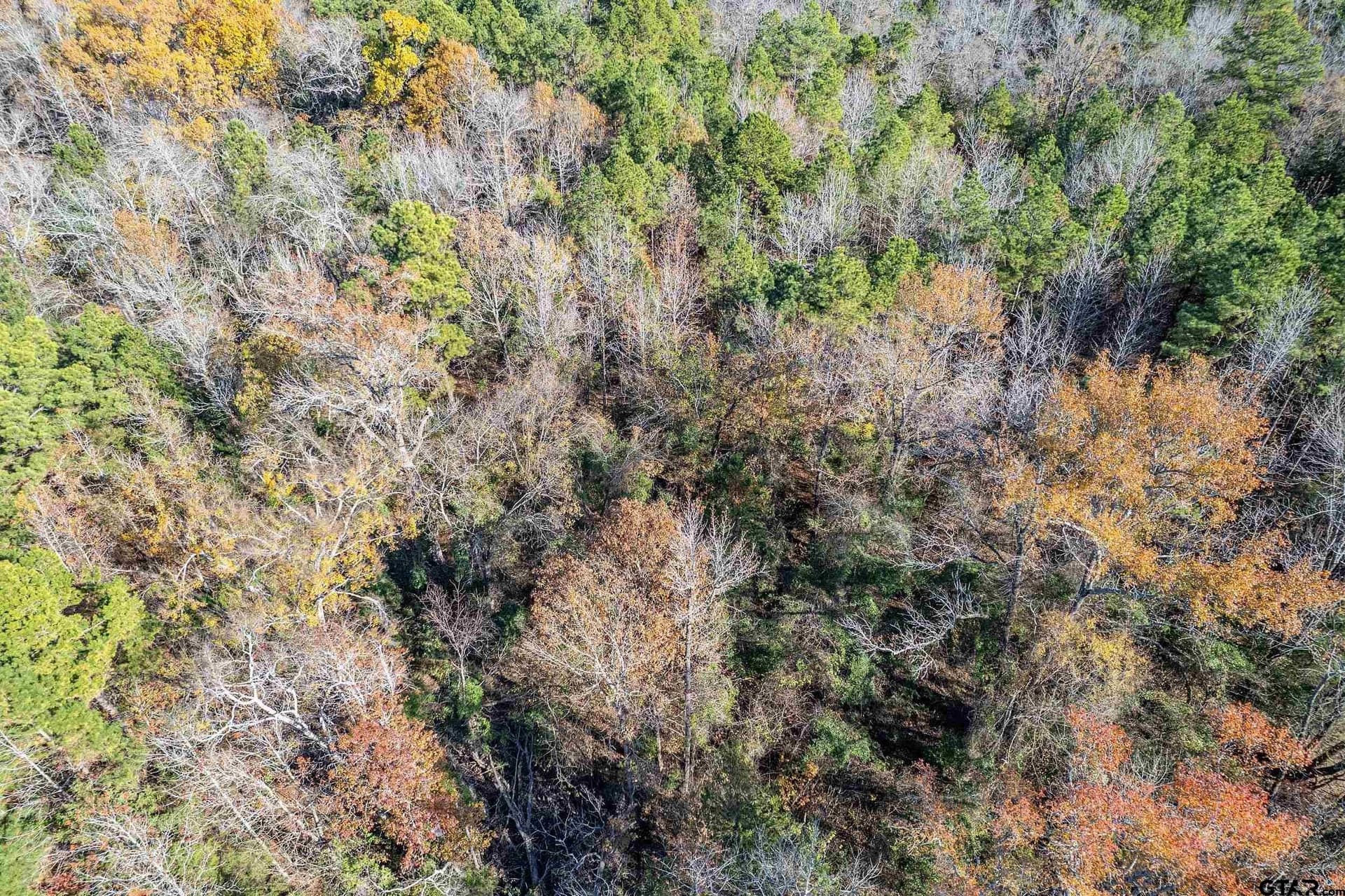 64.47 acres in Smith County - photo 16