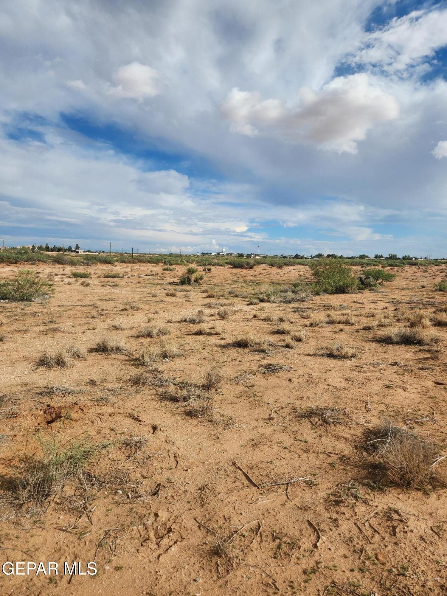 5 acres in El Paso County gallery image 3