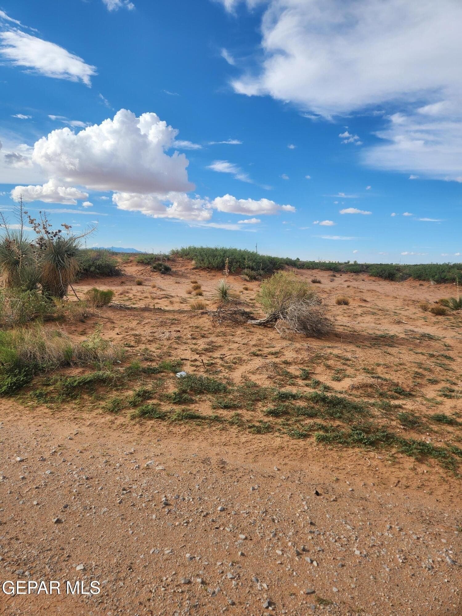 5 acres in El Paso County - photo 8
