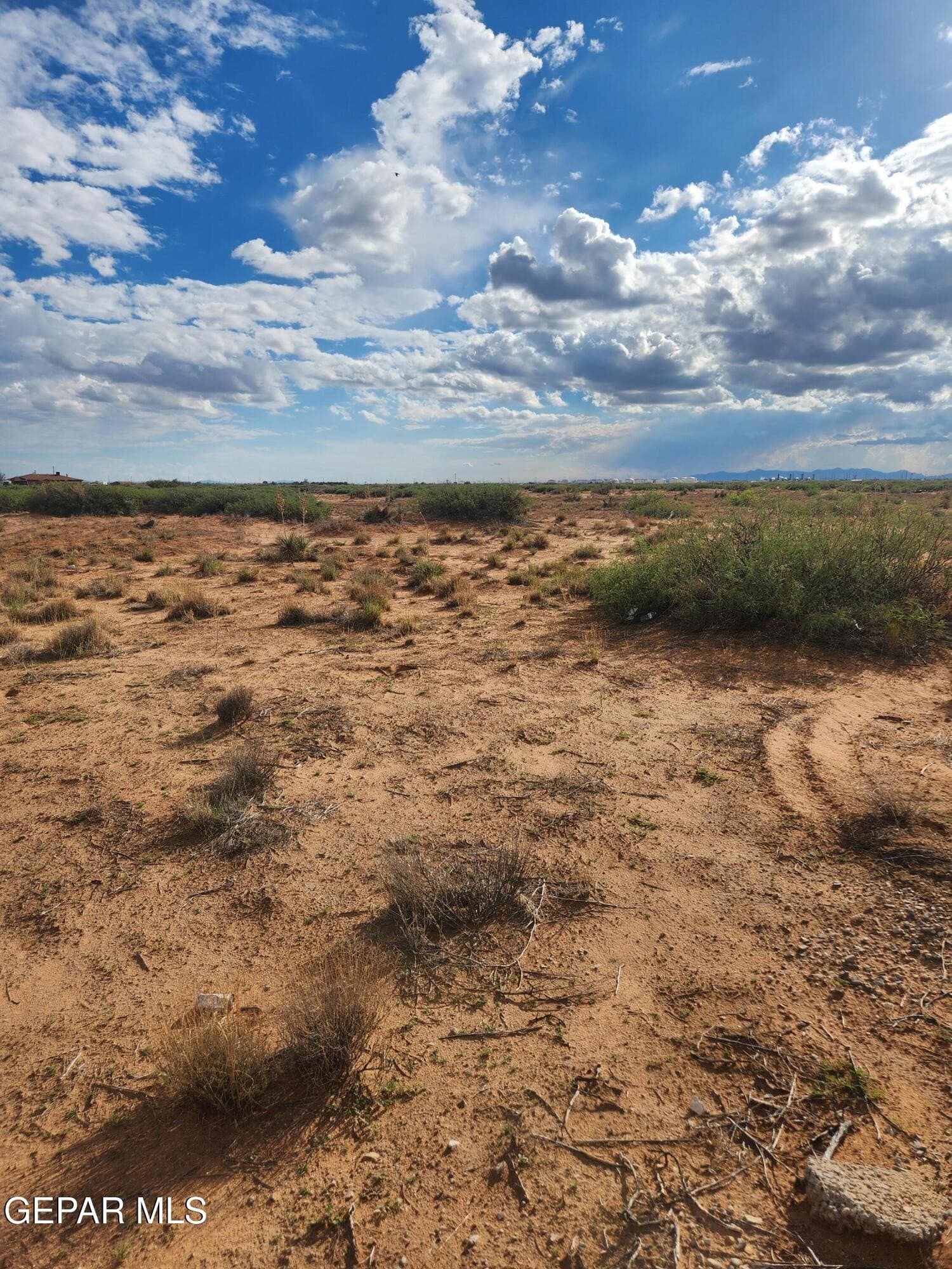 5 acres in El Paso County gallery image 4
