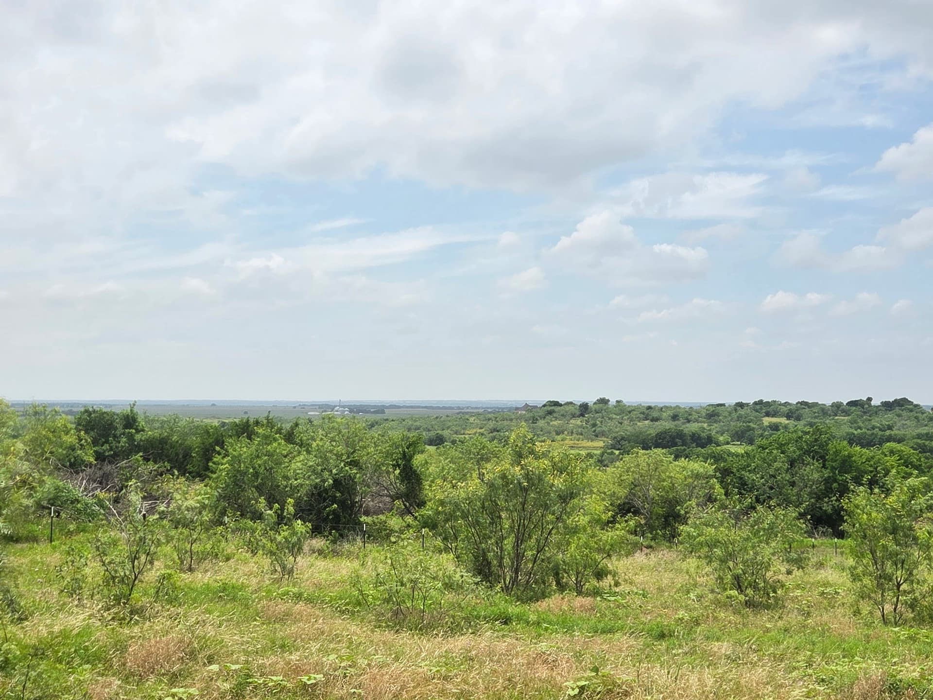 96.8 acres in McLennan County - photo 11