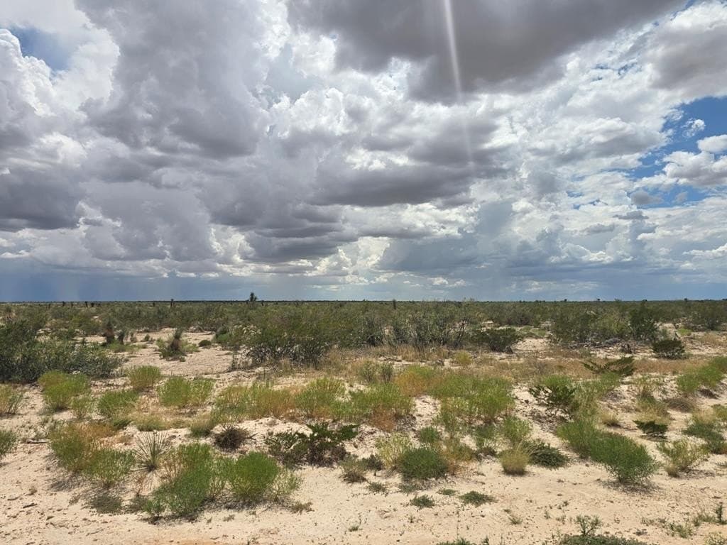20 acres in Culberson County