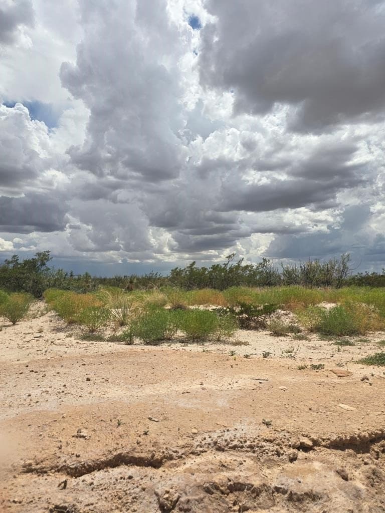 20 acres in Culberson County gallery image 3