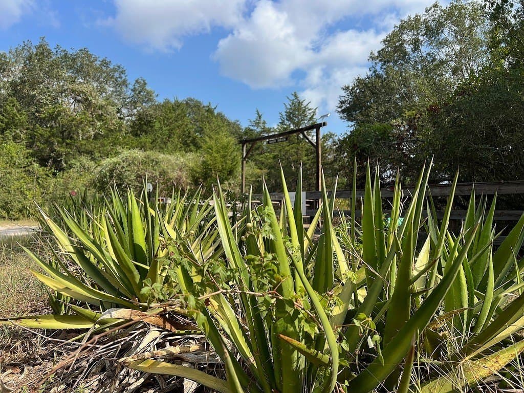 2.04 acres in Austin County - photo 8