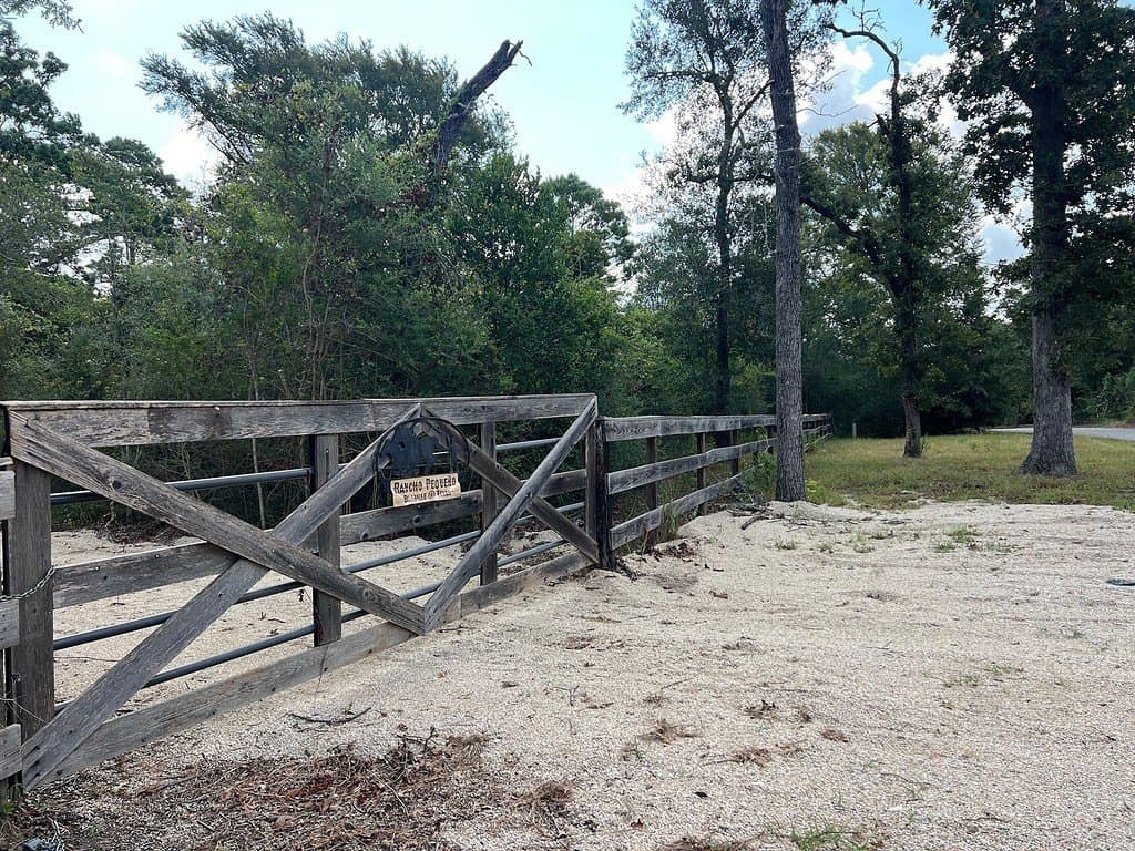 2.04 acres in Austin County - photo 6