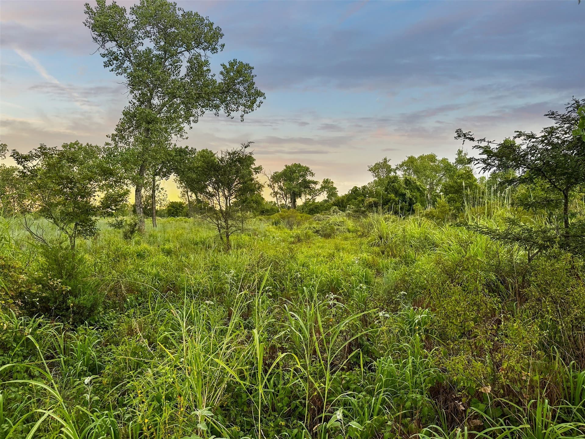 1,541 acres in Clay County - photo 20