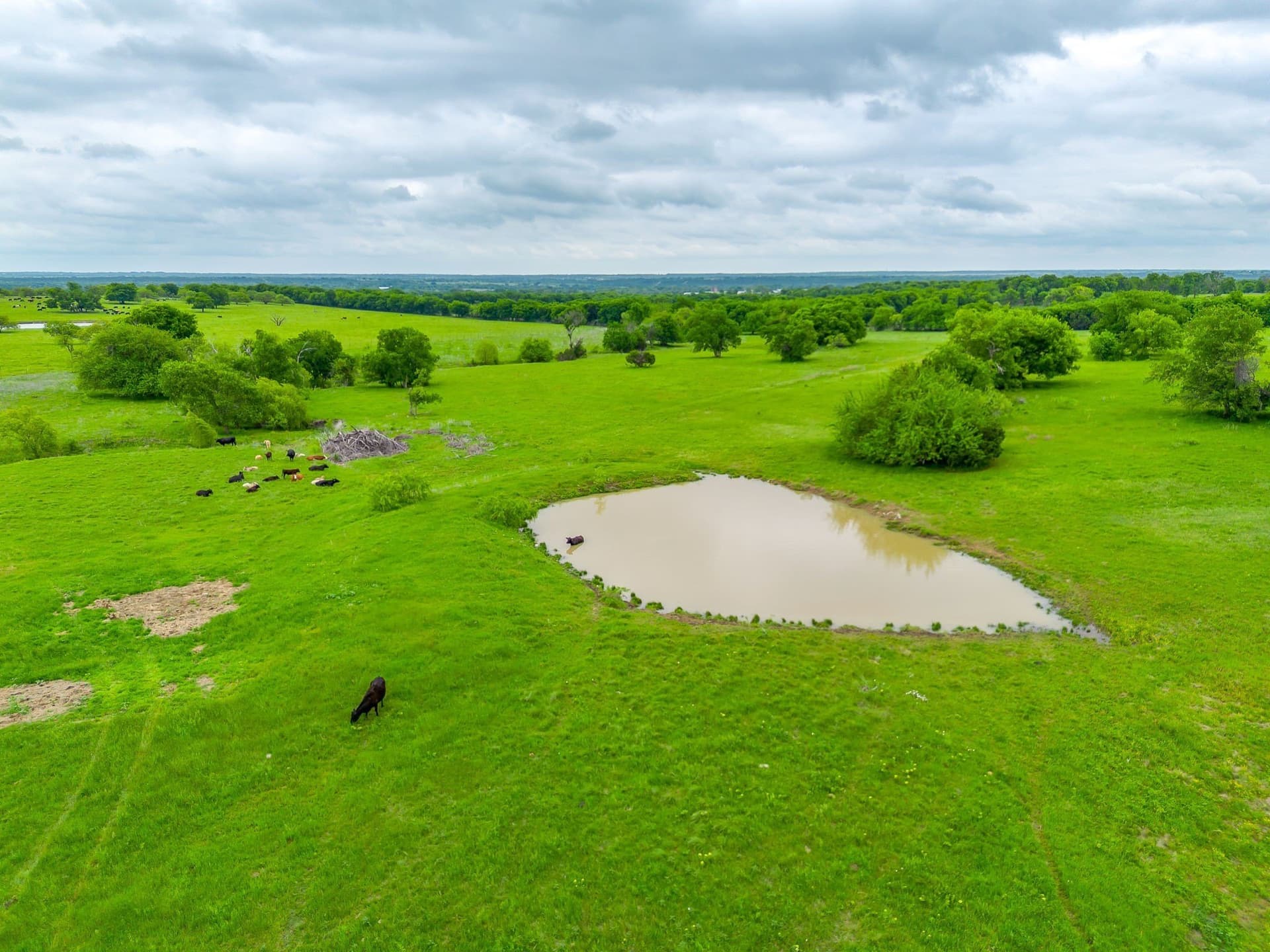 38.04 acres in Hill County - photo 7