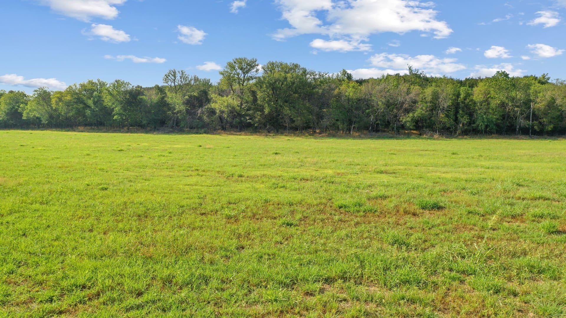304.63 acres in Erath County - photo 29