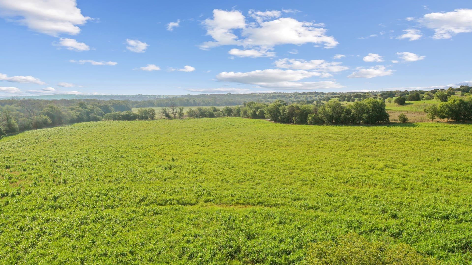304.63 acres in Erath County - photo 14
